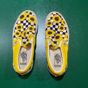 Custom vans